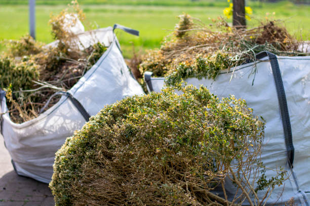Best Commercial Junk Removal  in Derma, MS